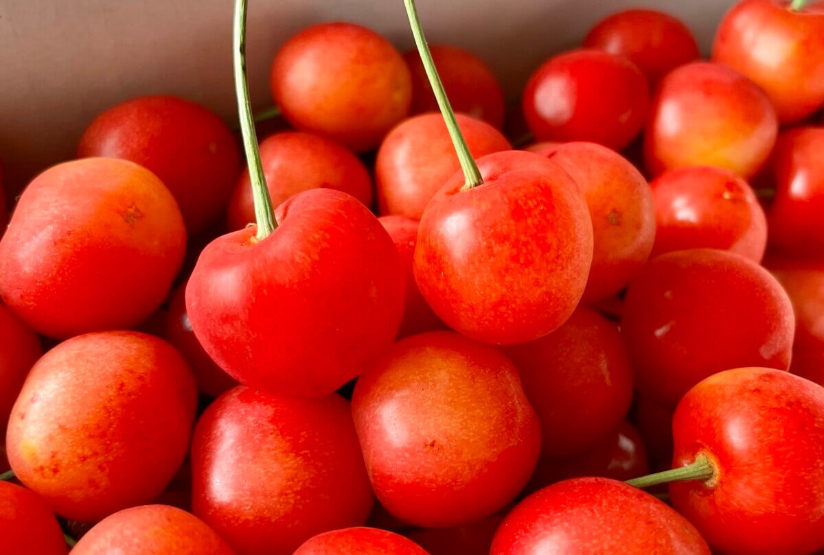 いつもありがとうございます🍒