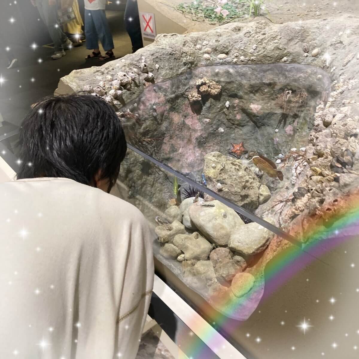 いのちのたび博物館🦕